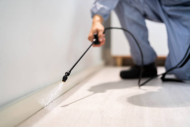 Licensed Termite Control service in Jefferson, TX - Nex Pest Control