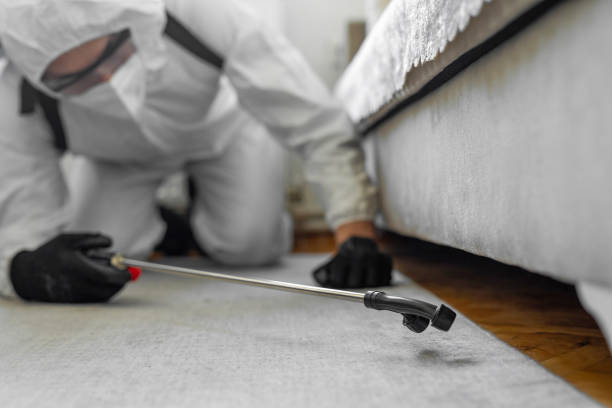 Professional Termite Control technician working in Jefferson, TX