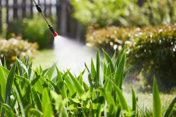 24/7 Emergency Termite Control experts in Jefferson, TX