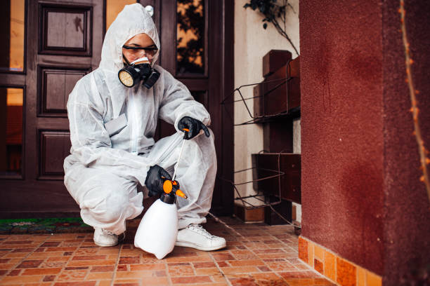 Reliable Termite Control contractor in Jefferson, TX by Nex Pest Control