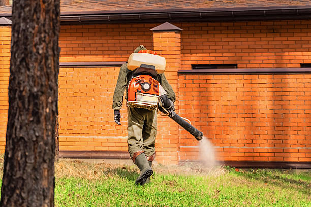 Top rated local Termite Control specialists in Jefferson, TX